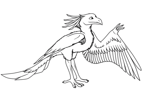 Cartoon Archaeopteryx Coloring Page